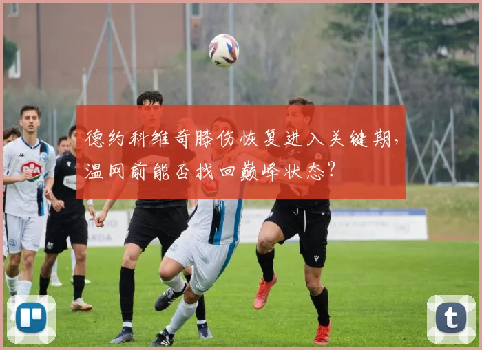 德约科维奇膝伤恢复进入关键期，温网前能否找回巅峰状态？